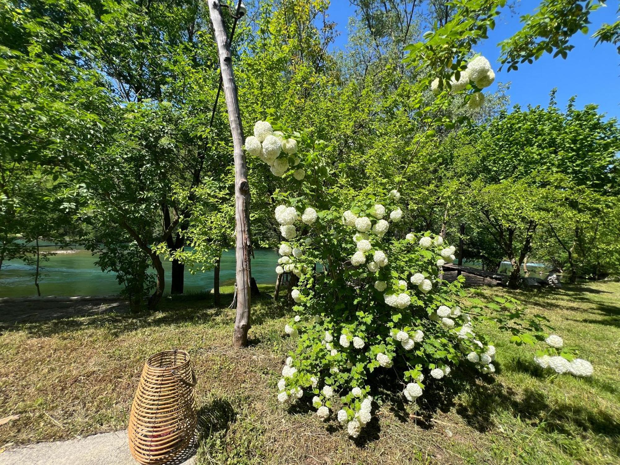 Anur Apartment Bihać Buitenkant foto