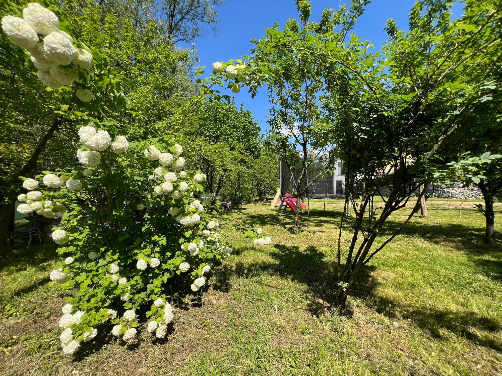 Anur Apartment Bihać Buitenkant foto